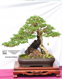 Một số hình ảnh tại Triễn lãm ABFF 2015 tại Việt Nam Phần 5