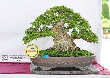 Một số hình ảnh tại Triễn lãm ABFF 2015 tại Việt Nam Phần 2