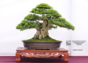 Một số hình ảnh tại Triễn lãm ABFF 2015 tại Việt Nam Phần 3