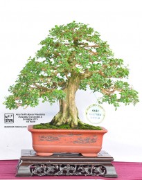 Một số hình ảnh tại Triễn lãm ABFF 2015 tại Việt Nam Phần 4