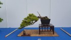bci_2017_12