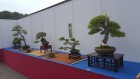 bci_2017_3