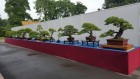 bci_2017_8