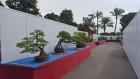 bci_2017_6