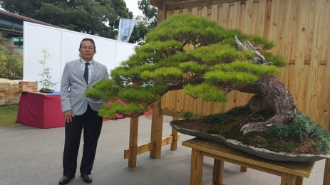 Bonsai Đài Loan 2017 (BCI) Phần 1