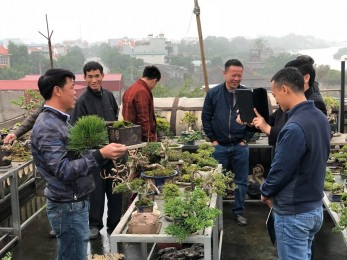 Vườn cây cảnh Ngọc Sơn ở Phú lý