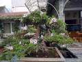 do_quyen_6_1