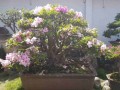 do_quyen_3_1