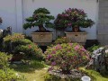 do_quyen_7_1