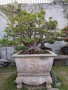 do_quyen_5_1