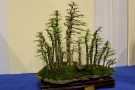 IMG_5829