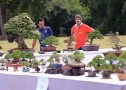 thongdennhatban_25