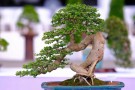 thongdennhatban_73