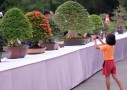 thongdennhatban_80