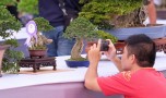 thongdennhatban_81
