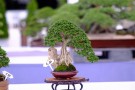 thongdennhatban59