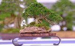 thongdennhatban_14