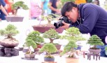 thongdennhatban_19