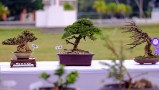 thongdennhatban_18