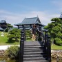 cay_thong_san_vuon_4
