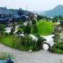 Thông Tùng sử dụng trang trí sân vườn