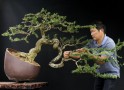 linh_sam_tran_thang_1
