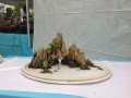 IMG_5297