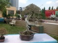 IMG_5171_2
