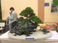 IMG_5285_2