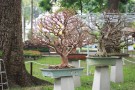 cay_12