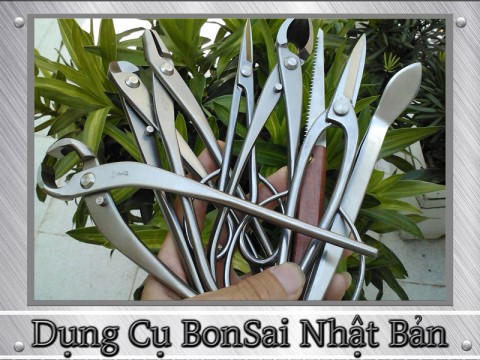 Dụng cụ Bonsai