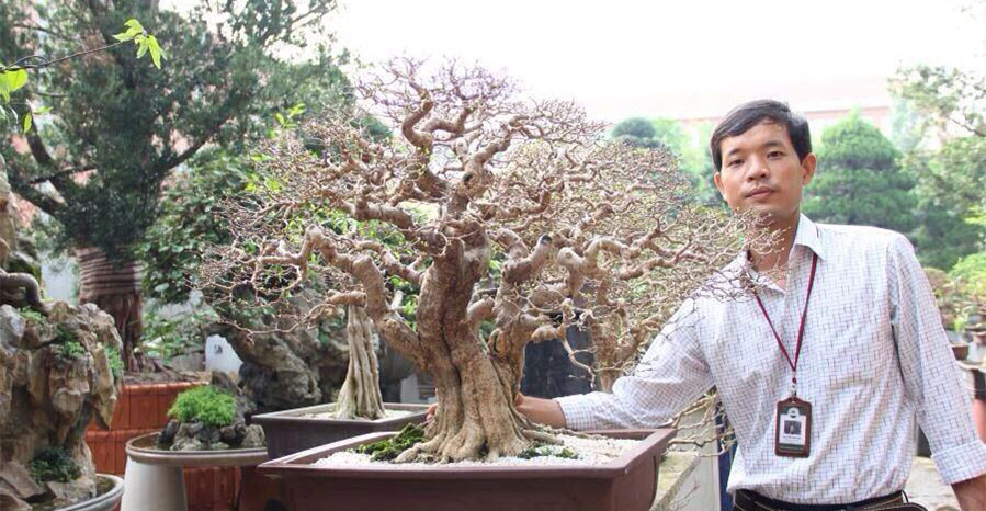 Dụng cụ Bonsai