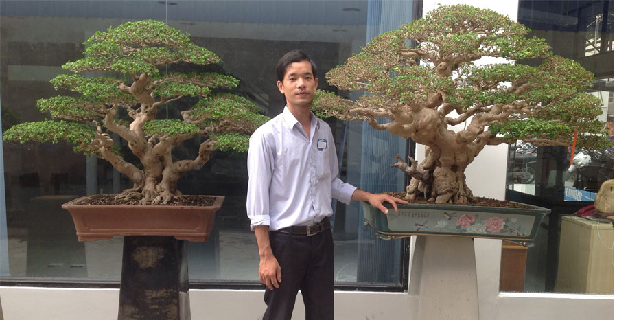 2 sam huong dai loan