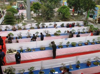 Triển lãm cây cảnh Nghệ Thuật Yên Tử lần thứ 2