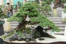 IMG_0020
