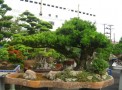 CIMG3662