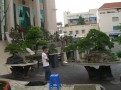 CIMG3655