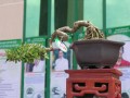DSCN2534