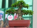 DSCN2542