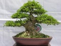 DSCN2531