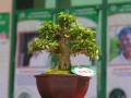 DSCN2527