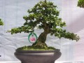 DSCN2522