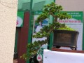 DSCN2500