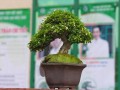 DSCN2506