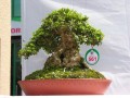 DSCN2516