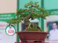 DSCN2505