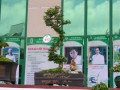 DSCN2501