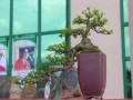 DSCN2541