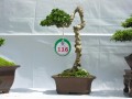 DSCN2530