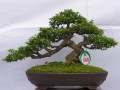 DSCN2512